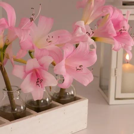 Le Gioie - Dimora Brezza Marina - Confortevole E Grazioso A Due Passi Dalla Hébergement de vacances